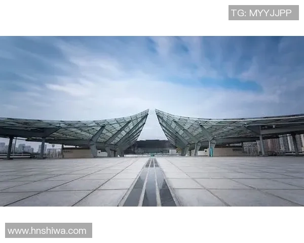 南京网球队创历史新高网球耐力排名引发广泛关注与讨论