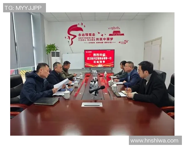 武汉网球队运营模式分析与发展前景探讨