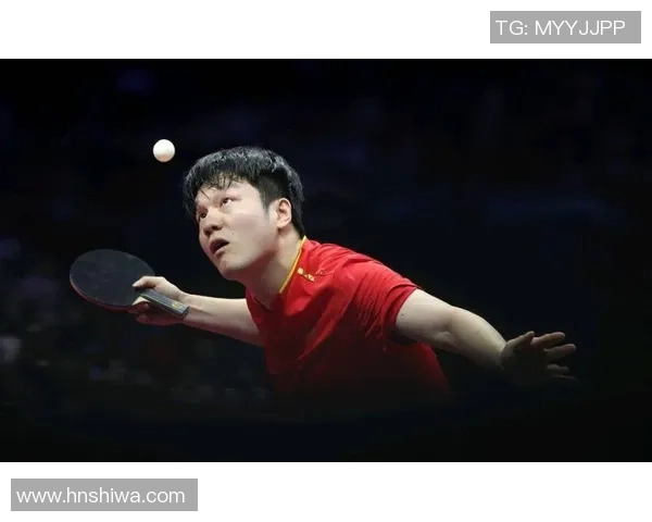 武汉乒乓球队逆袭之路揭秘冠军赛背后的奋斗与荣耀