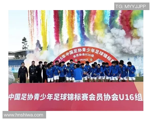 武汉足球明星足球赛门票热销球迷狂欢期待精彩对决