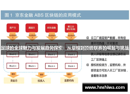 足球的全球魅力与发展趋势探索：从草根到顶级联赛的崛起与挑战